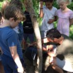 4 klasse på steinerskolen i stavanger